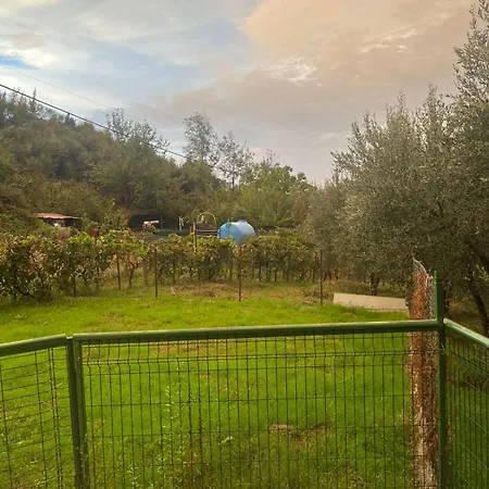 Doa House 2 דירה